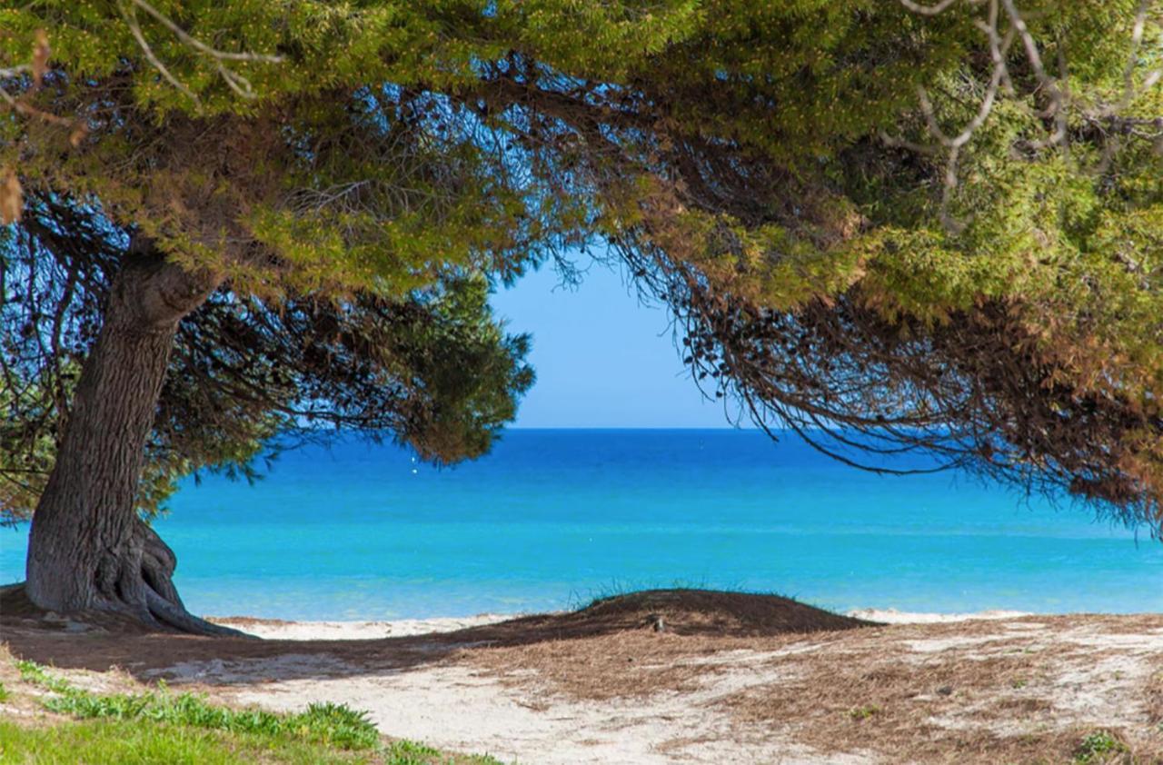 Apartment Countess Garden 3-1, Sun Of The Bay 1, At Alcudia Beach Esterno foto